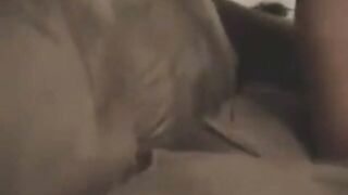 Cheating Anal Milf Fucked Hard on Webcam