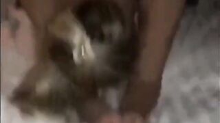 Black Stallion Nails Amateur Hotgirl