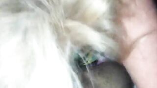 Single American Mom Loves Sucking Cock