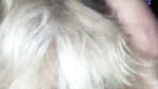 Single American Mom Loves Sucking Cock