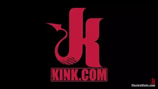 Introduction to Electrosex