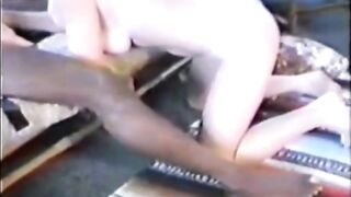 White Babes Suck BBC for Cuckolds