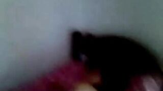 Beautiful Indonesian Babe Gives Blowjob