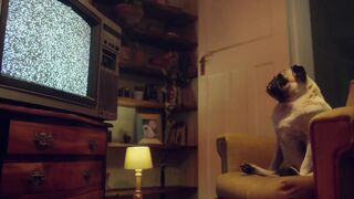 Princess pussy – She ends up drenched in cum after I explode on her - Benefit Monkey