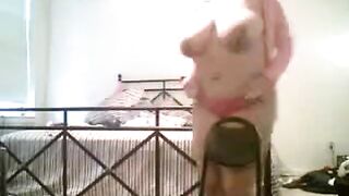 BBW With Big Tits Puts On A Sexy Webcam Show