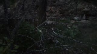 Outdoor Orgasm in the Woods - Amateur Girl Masturbating