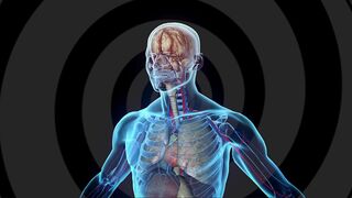 Latex n Chill - LEXI IN YOUR HEAD