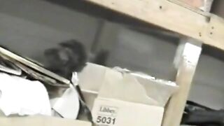 Korean Ex-Model Gives Blowjobs in a Bar's Basement