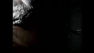 Mafia a Very Successful Film From the 90s