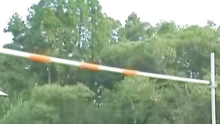 Japanese Sports Enthusiasts Go Wild by snahbrandy