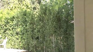 Hot slut with a nice body is literally screwed by a huge black cock