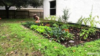 Kitty Kums in the Kale