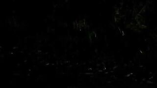 Redhead Milf's Surprise Roadside Fuck with a Stranger