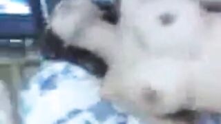 Busty Malay Amateur Fucked Hard