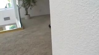 First get wet with the dildo, then the big fuck