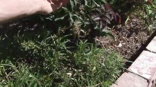 A sexy hot POV with Tory Lane