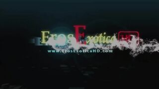 Eros Exotica HD Pregnant Sex Techniques (hd)