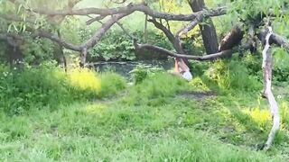 Guy Spots Peeing Girl and Has Hardcore Public Sex with Her