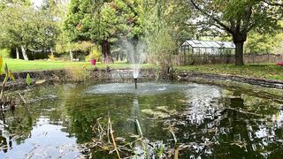 Rose at 26 Years Old, First Sex Tape