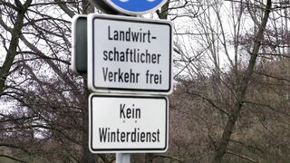 Brunette milf in a costume of a witch just been caught and fucked in the ass from a forest keeper