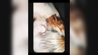 Wife Records Herself Fucking for Her Husband