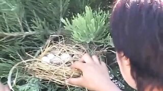 Huge hairy pussy fucking fingering in the garden (Full original movie)