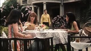 Big hairy pussy fucking anal penetrated vintage orgy