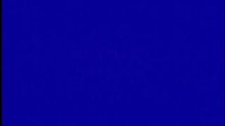 Vintage threesome hairy pussy fucking threesome party