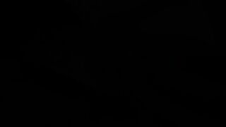 Landlady - First Night (no Sound)