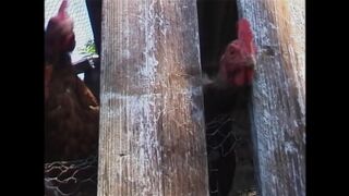 Brunette Horny Whore Was Satisfied While Fucking Her Mouth so He Fucked Her Pussy Too