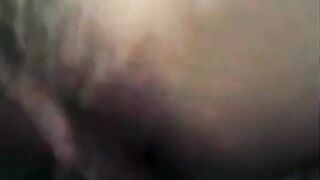 Korean Amateur Collection