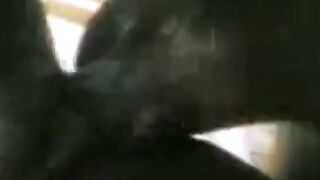 Sri Lankan Doggy Style Amateur