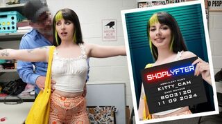 Shoplyfter - Kitty Cam - The Artist In Distress