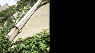 The Hairy Amateur Dream