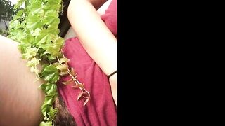 The Hairy Amateur Dream