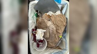 Bratty Bunny - Stroke to my Trash